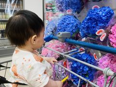 -金点蒙氏国际教育(悠然校区)