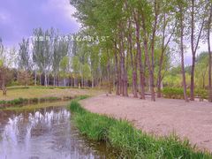 -东郊湿地公园