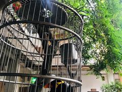 景观位-横琴公社餐厅