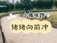 -前小桔亲子创意农场·草莓采摘·露营烧烤