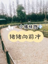 -前小桔亲子创意农场·草莓采摘·露营烧烤