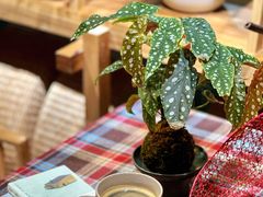 -JRCAFE玖如空间