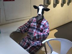 -君乐宝优致牧场