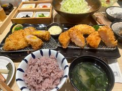 -胜博殿日式炸猪排(西红门店)