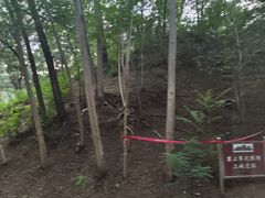 -元大都城垣遗址公园