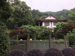 -十八棵（老龙井）御茶园(老龙井店)