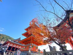 -有栖山 清光院 清水寺