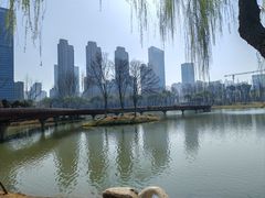 -后襄河公园
