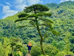-姑婆山旅游区
