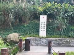 -重庆彩云湖湿地公园