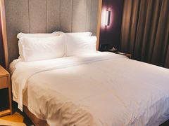 -麗枫酒店(深圳坪山高铁站龙东地铁站店)