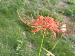 -白塘生态植物园
