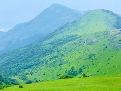 -大姆山草场
