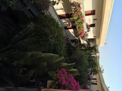 三亚凯莱仙人掌度假酒店-三亚亚龙湾凯莱仙人掌度假酒店