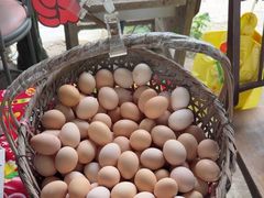 -马陆小张葡萄园农家乐