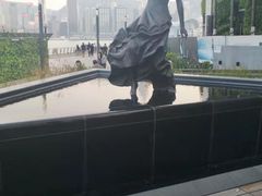 -星光大道