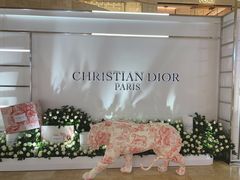 -DIOR迪奥(德基广场女装店)