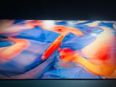 -罗红摄影艺术馆