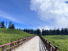 -瓦屋山景区