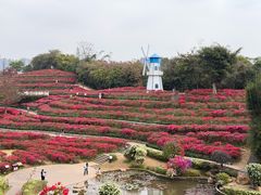 -察理王子(金浦店)