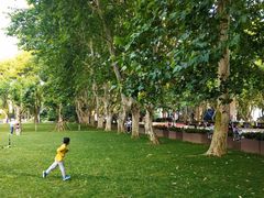 -同济大学(嘉定校区)