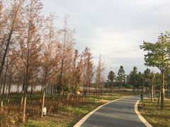 -琅岐红光湖公园
