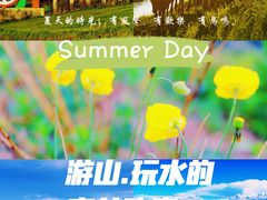 -百里天路