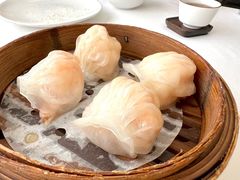 南迎虾饺王-南海迎宾馆·经典南海菜