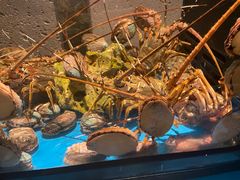 -Mr·Fish鱼鲜生海鲜放题(银泰in99店)
