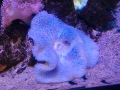 -邯郸海洋世界