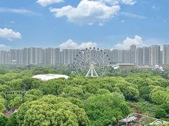 -常州淹城野生动物世界