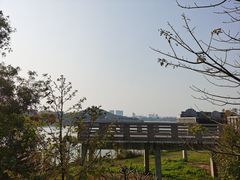 -立新湖公园