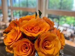 -羿庭(外滩华尔道夫酒店)