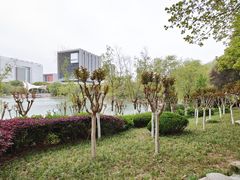 -天鹅湖体育公园