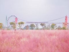 -花博汇(知音花月夜)