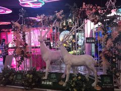 -太古小镇(OL星辰汇店)