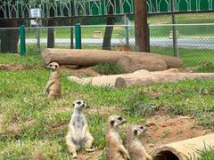 -秦皇岛野生动物园
