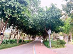 -顺峰山公园