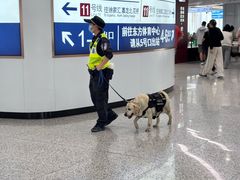 -东方体育中心(地铁站)