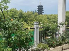 -乡亲鹅肉城(吴江店)