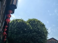 -三坊七巷历史文化街区