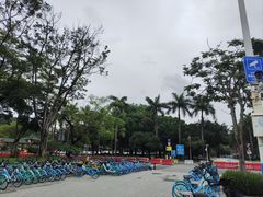-顺峰山公园