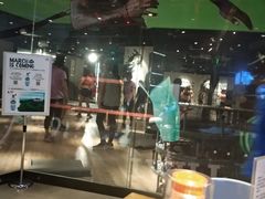 -威尔仕健身·游泳(KING88店)