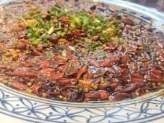 -新概念来凤鱼(璧山店)