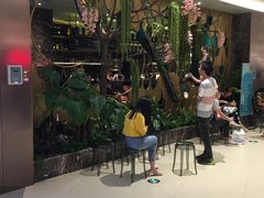 -雀蓝川菜(奥体广场店)