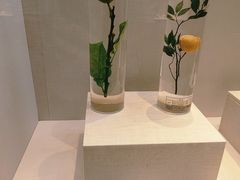 -广东中医药博物馆
