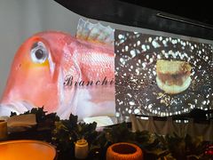 -地球美食剧场