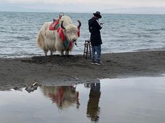 -青海湖国家重点风景名胜区