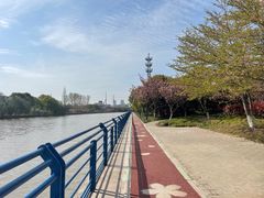 -高东镇樱花园