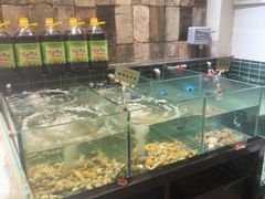 -黄山老妈·土菜(碧桂园店)